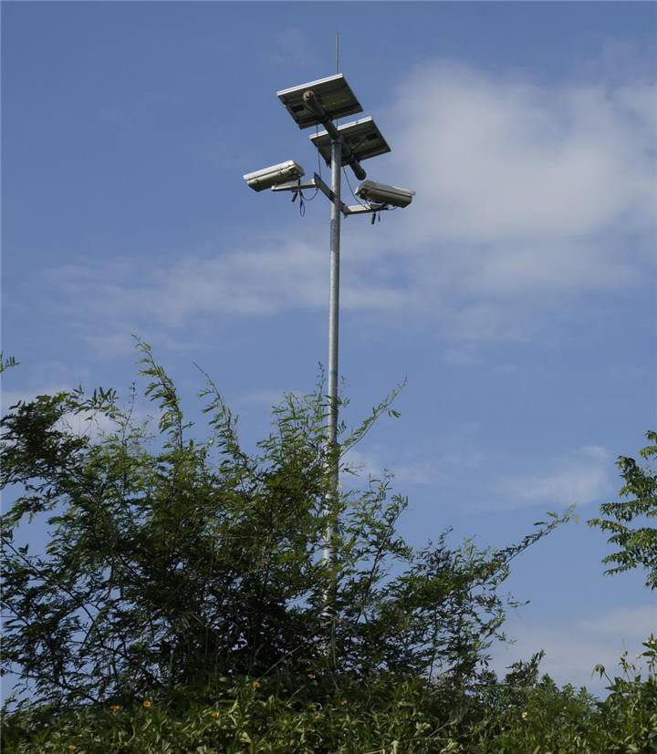 QT-POS物候观测系统