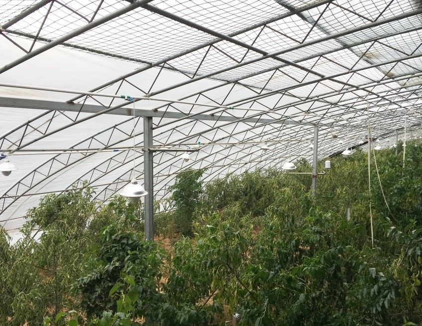 植物生理生态监测系统及自动气象站助力枣树培育